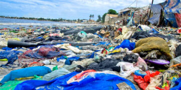 Baie de Hann : Baba DRAME préconise la recherche scientifique pour une dépollution et une préservation durable